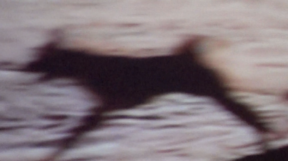 Rituales de Registro — still